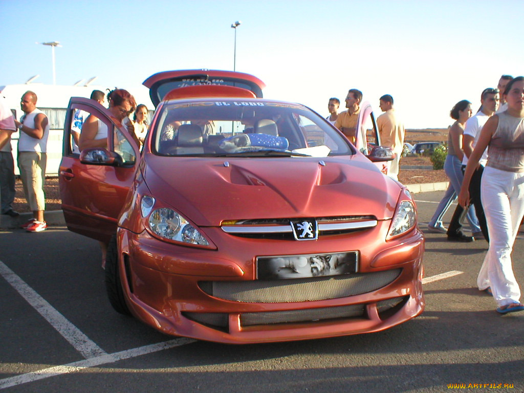 307, , peugeot